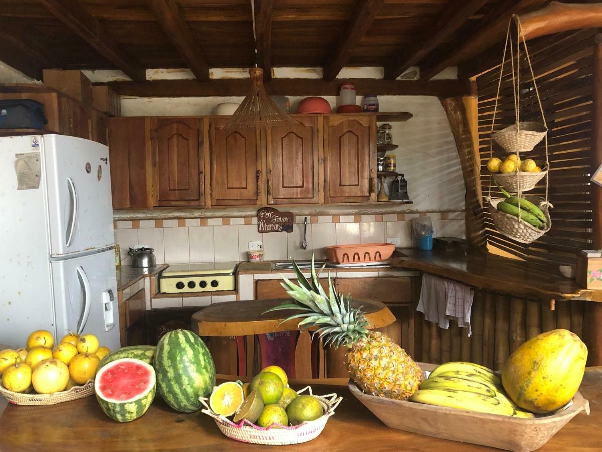 Hostal Rutamar Canoa Dış mekan fotoğraf